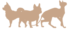 icon-animals